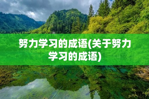 努力学习的成语(关于努力学习的成语)