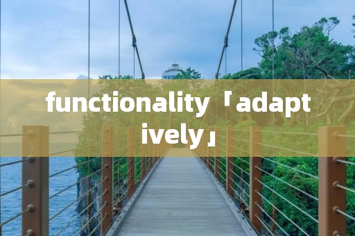 functionality「adaptively」