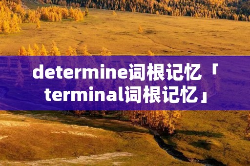 determine词根记忆「terminal词根记忆」