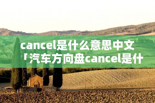 cancel是什么意思中文「汽车方向盘cancel是什么意思中文」 cancel是什么意思中文「汽车方向盘cancel是什么意思中文」