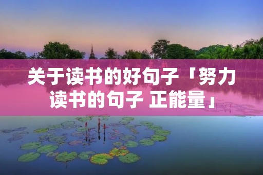 关于读书的好句子「努力读书的句子 正能量」
