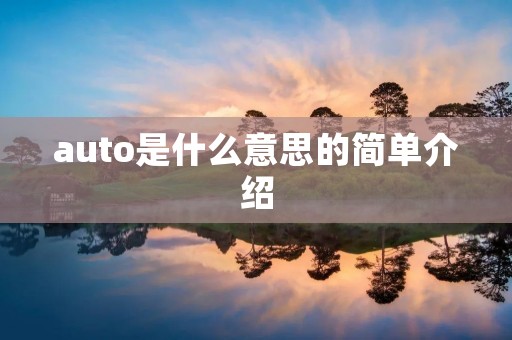 auto是什么意思的简单介绍