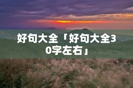 好句大全「好句大全30字左右」