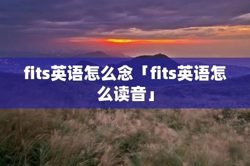 fits英语怎么念「fits英语怎么读音」