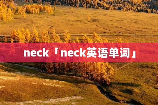 neck「neck英语单词」 neck「neck英语单词」