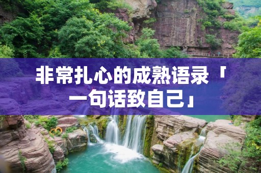 非常扎心的成熟语录「一句话致自己」