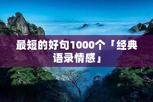 最短的好句1000个「经典语录情感」