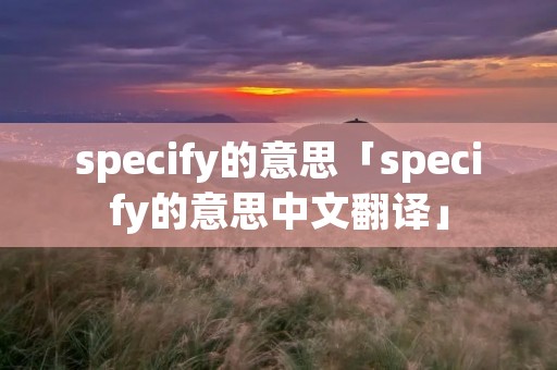 specify的意思「specify的意思中文翻译」