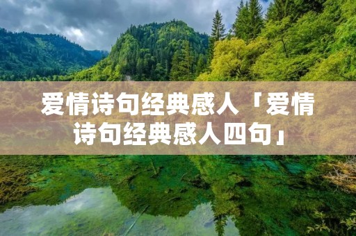 爱情诗句经典感人「爱情诗句经典感人四句」
