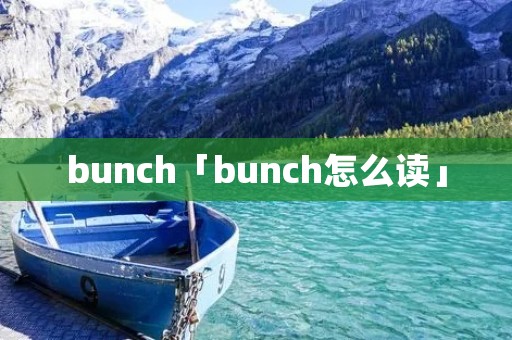 bunch「bunch怎么读」
