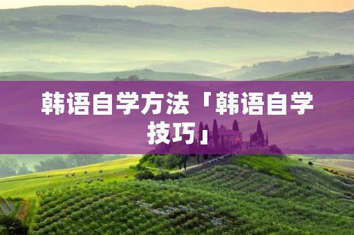 韩语自学方法「韩语自学技巧」