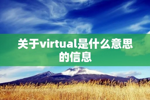 关于virtual是什么意思的信息