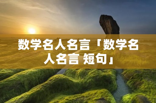 数学名人名言「数学名人名言 短句」
