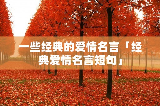 一些经典的爱情名言「经典爱情名言短句」