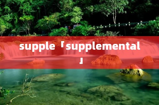 supple「supplemental」