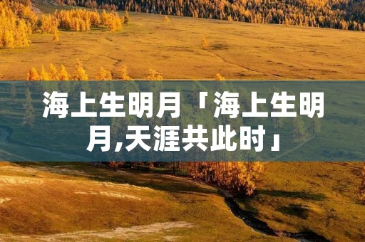 海上生明月「海上生明月,天涯共此时」