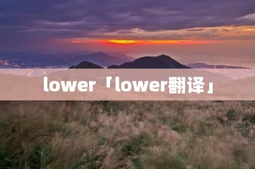 lower「lower翻译」