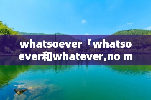 whatsoever「whatsoever和whatever,no matter」