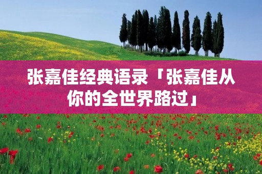 张嘉佳经典语录「张嘉佳从你的全世界路过」
