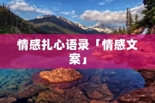 情感扎心语录「情感文案」