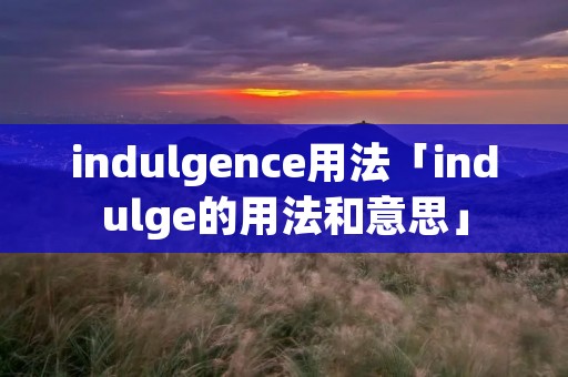 indulgence用法「indulge的用法和意思」