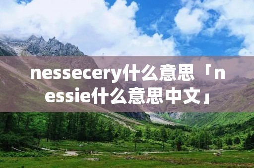 nessecery什么意思「nessie什么意思中文」