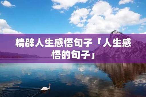 精辟人生感悟句子「人生感悟的句子」 精辟人生感悟句子「人生感悟的句子」