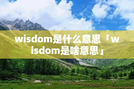 wisdom是什么意思「wisdom是啥意思」