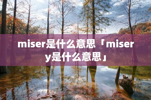 miser是什么意思「misery是什么意思」