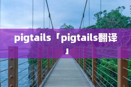 pigtails「pigtails翻译」