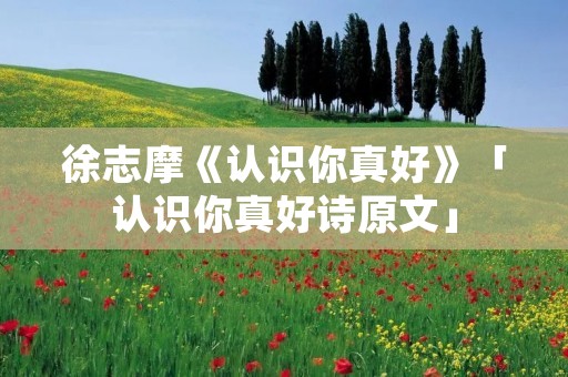 徐志摩《认识你真好》「认识你真好诗原文」