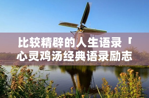 比较精辟的人生语录「心灵鸡汤经典语录励志」