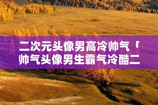 二次元头像男高冷帅气「帅气头像男生霸气冷酷二次元」
