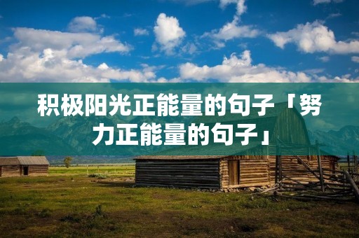 积极阳光正能量的句子「努力正能量的句子」