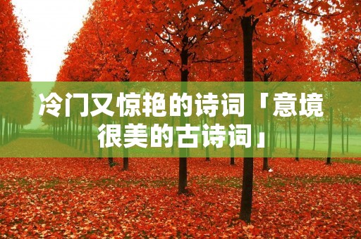 冷门又惊艳的诗词「意境很美的古诗词」