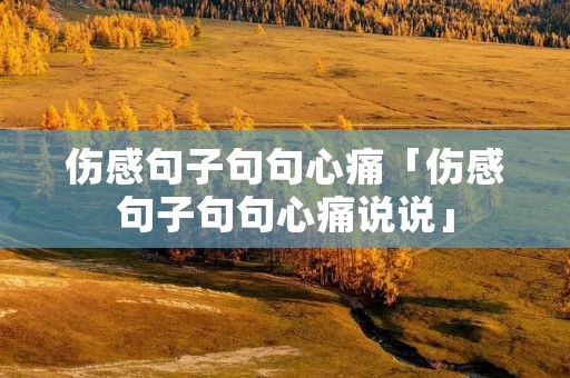 伤感句子句句心痛「伤感句子句句心痛说说」