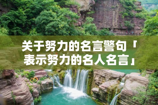 关于努力的名言警句「表示努力的名人名言」 关于努力的名言警句「表示努力的名人名言」