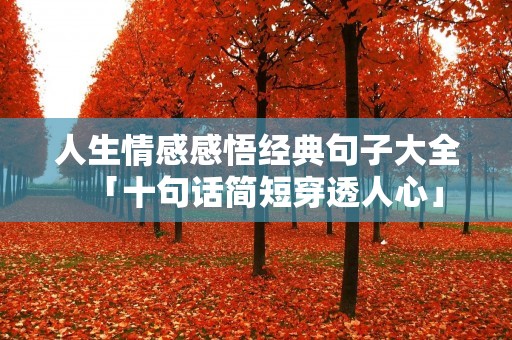 人生情感感悟经典句子大全「十句话简短穿透人心」
