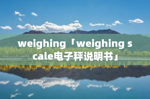 weighing「weighing scale电子秤说明书」