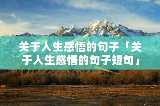 关于人生感悟的句子「关于人生感悟的句子短句」