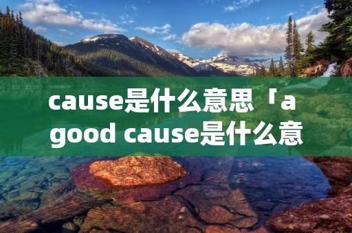 cause是什么意思「a good cause是什么意思」