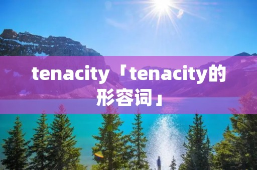 tenacity「tenacity的形容词」 tenacity「tenacity的形容词」