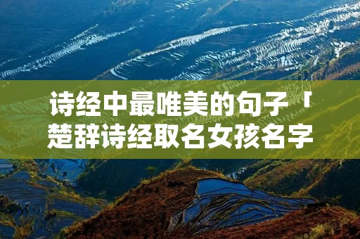 诗经中最唯美的句子「楚辞诗经取名女孩名字」