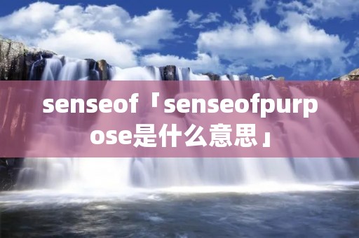 senseof「senseofpurpose是什么意思」