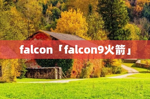 falcon「falcon9火箭」