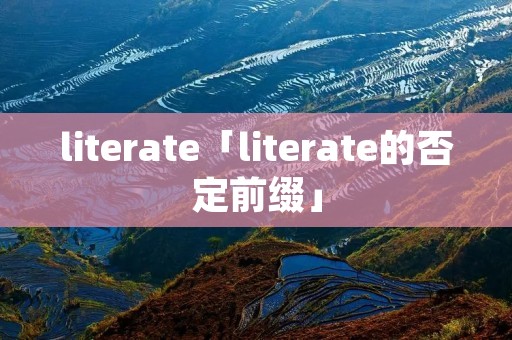literate「literate的否定前缀」