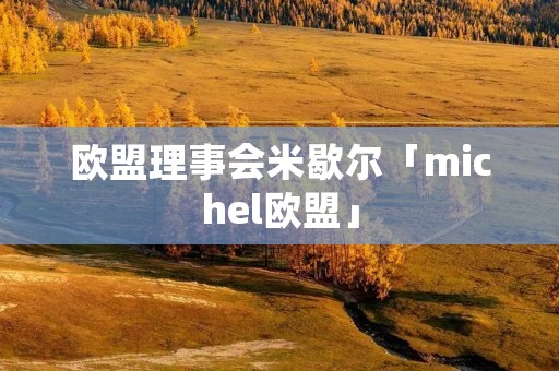 欧盟理事会米歇尔「michel欧盟」