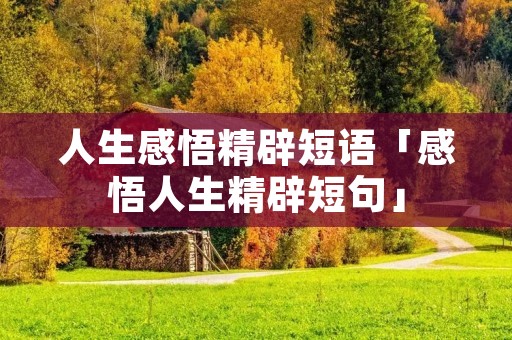 人生感悟精辟短语「感悟人生精辟短句」