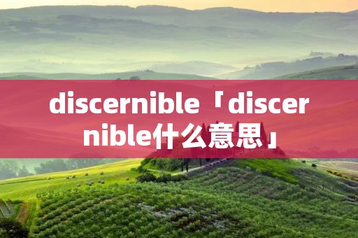 discernible「discernible什么意思」 discernible「discernible什么意思」