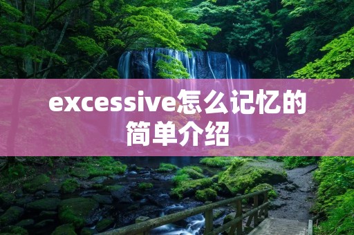 excessive怎么记忆的简单介绍